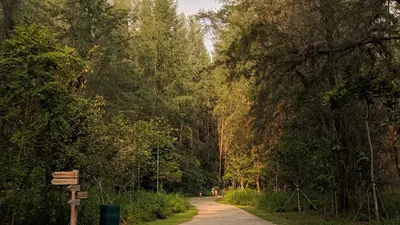 Coney Island Park — The wooded coastal trail and mangroves of Coney Island Park in north-east Singapore