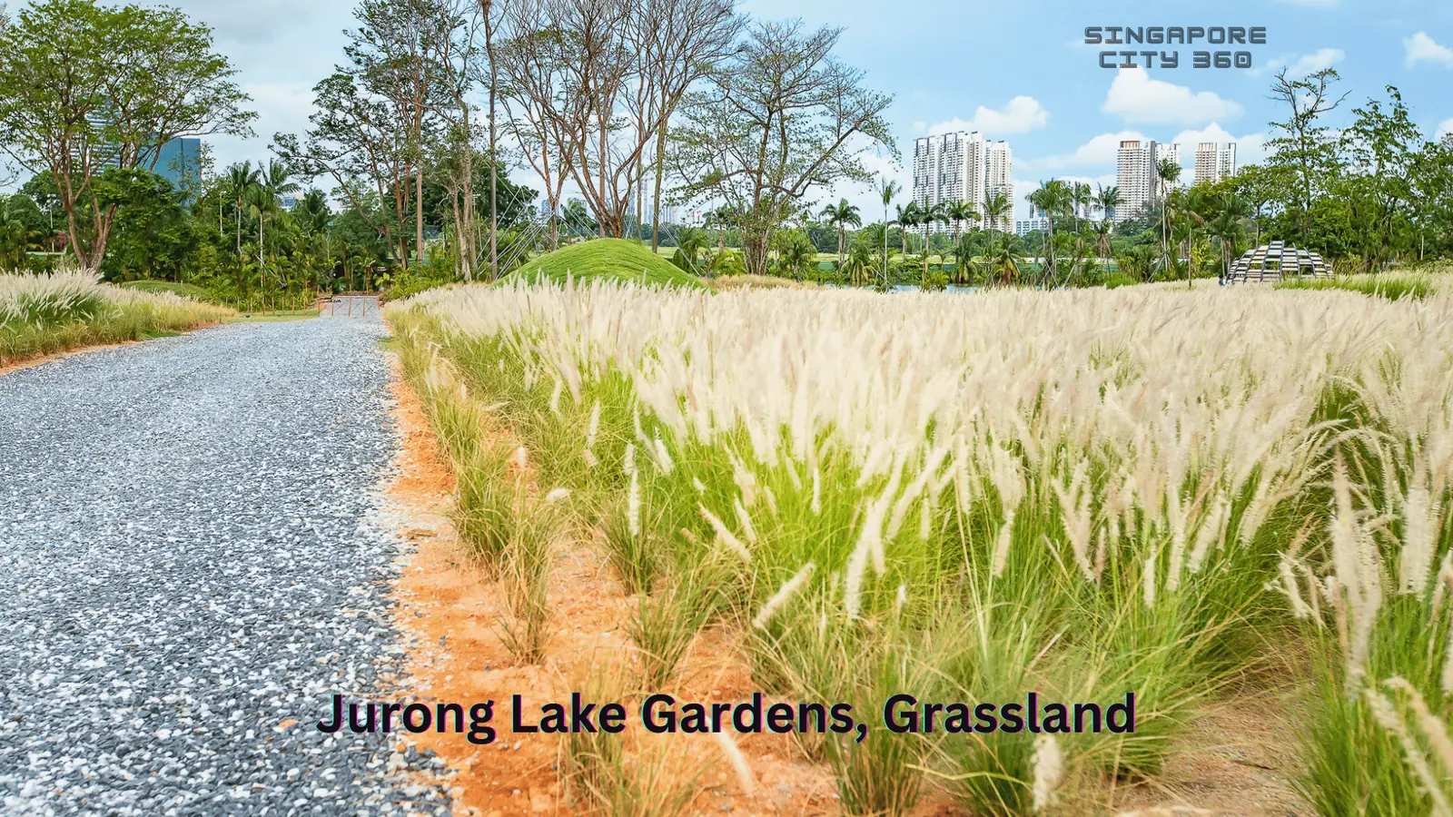 Open grassland planting at Lakeside Garden, Jurong Lake Gardens, Singapore