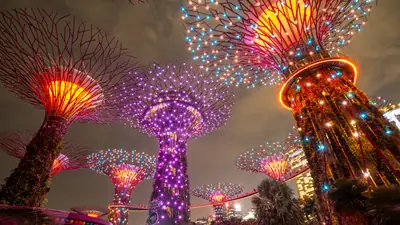 Gardens by the Bay — Supertree Grove at Gardens by the Bay lit in pink, purple and gold during the nightly Garden Rhapsody light show