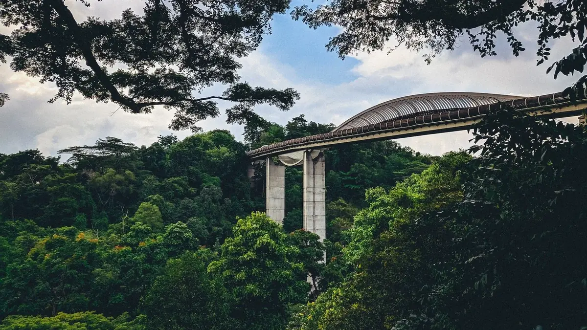 Henderson Waves Bridge — Henderson Waves Bridge, Singapore
