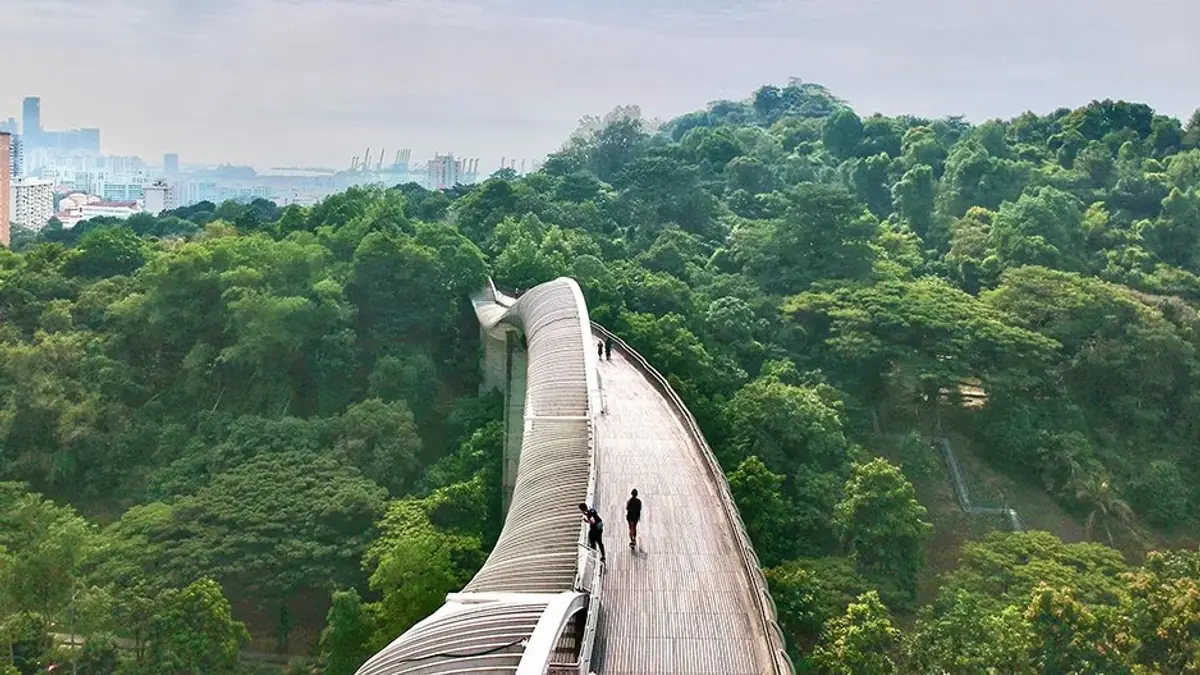 Henderson Waves Bridge — Henderson Waves Bridge, Singapore