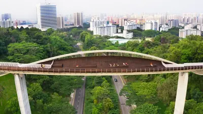 Henderson Waves Bridge — Henderson Waves Bridge — landmark in western Singapore, Singapore