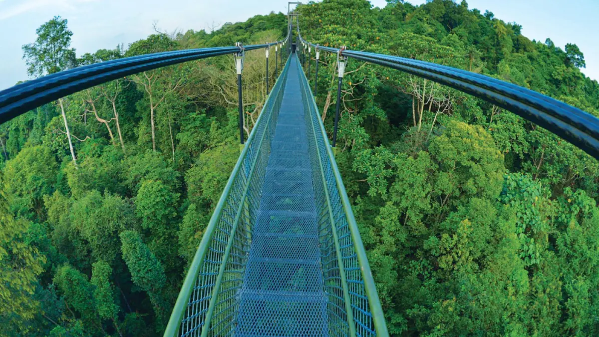 MacRitchie Reservoir — MacRitchie Reservoir, Singapore