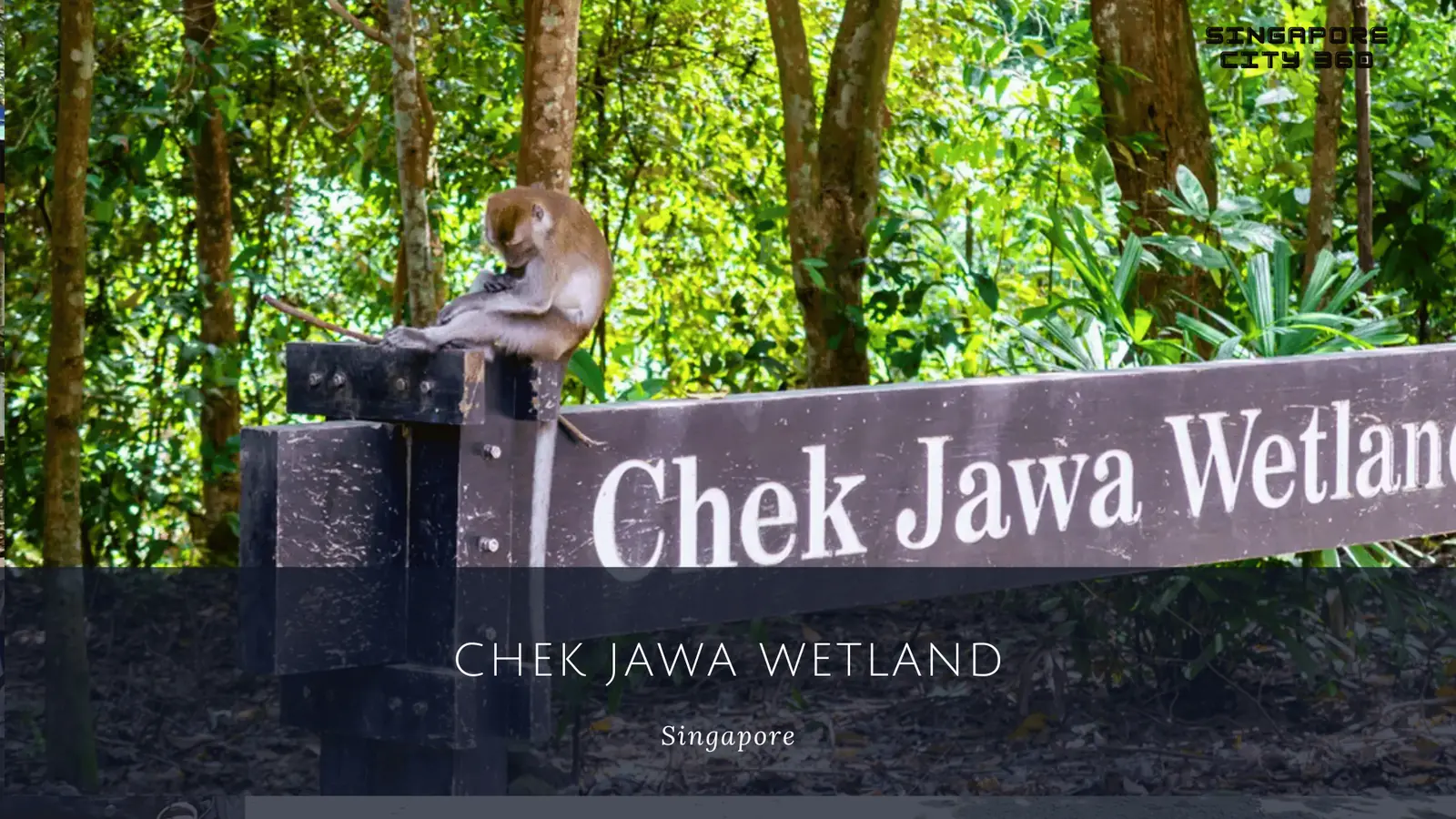 Chek Jawa Wetlands signboard at the entrance to the boardwalk trails on Pulau Ubin