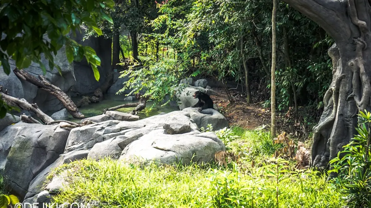 Rainforest Wild Asia — Rainforest Wild Asia, Singapore
