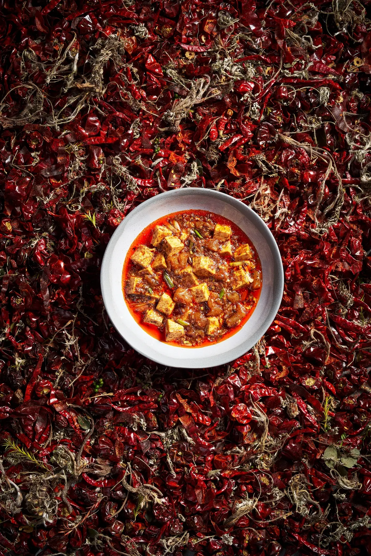 Mapo doufu at Shisen Hanten by Chen Kentaro, Singapore