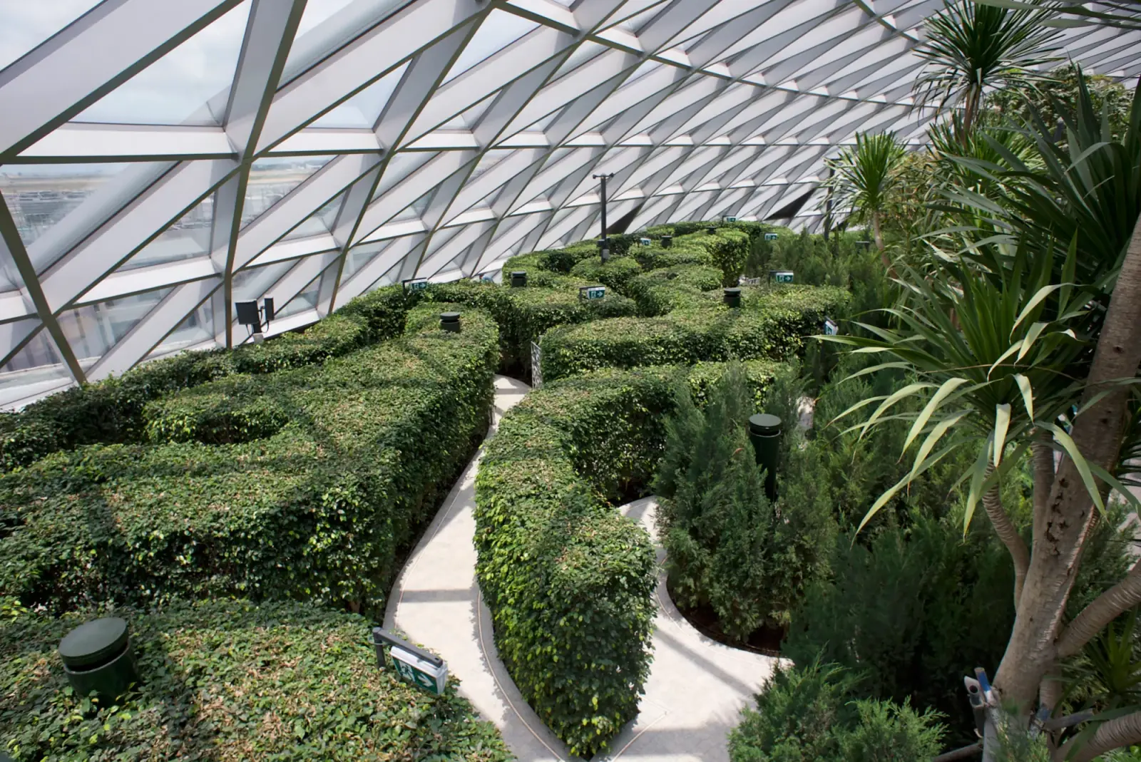 Jewel Changi Airport — The hedge maze at Canopy Park, Jewel Changi Airport