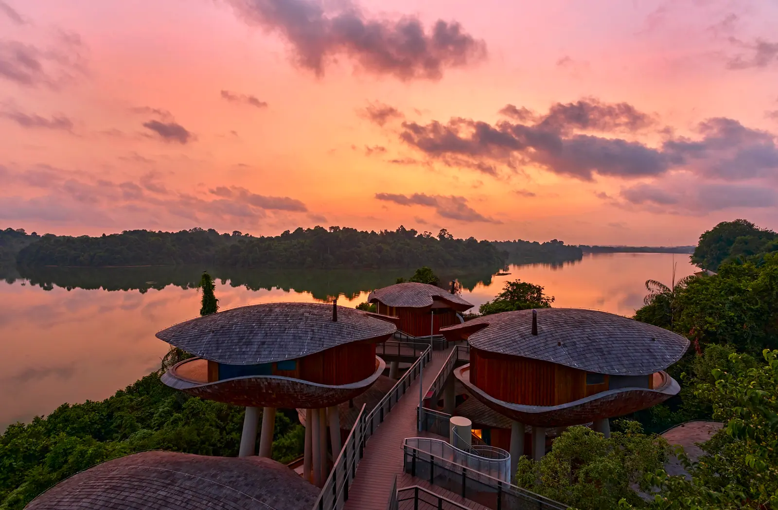 Mandai Rainforest Resort by Banyan Tree — Designed to resemble the seed pods of the Purple Millettia, these treehouses overlook the Upper Seletar Reservoir at Mandai Rainforest Resort, Singapore