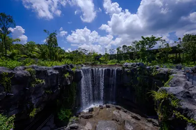 Mandai Wildlife West — 10m-tall waterfall at Mandai Wildlife West, Singapore