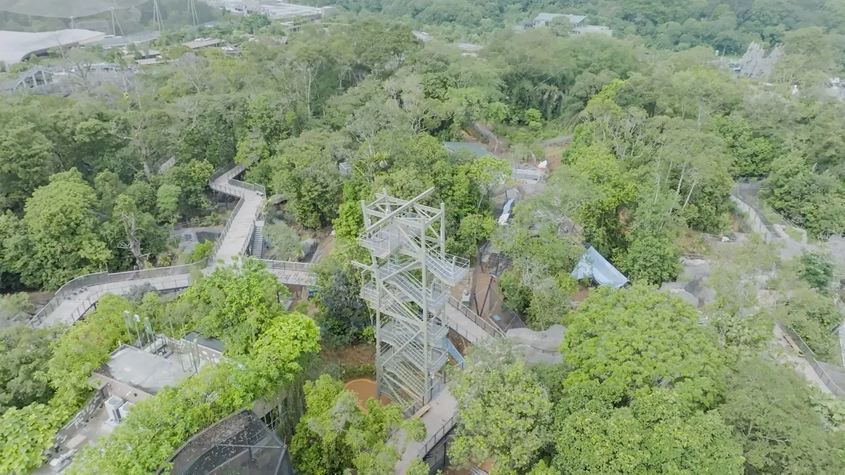Rainforest Wild Asia — The Canopy Jump at RFW Asia at Rainforest Wild Asia, Singapore