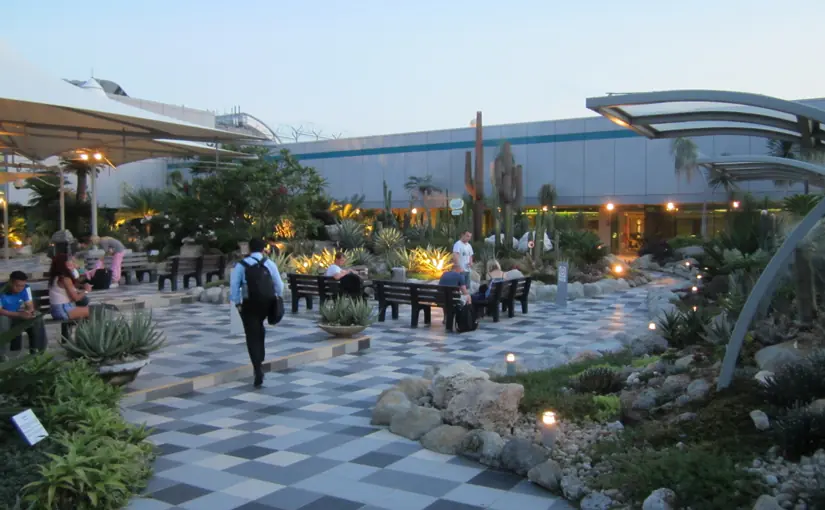Cacti and succulents in the open-air rooftop Cactus Garden in Terminal 1 at Changi Airport