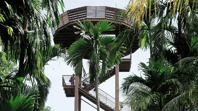 Chek Jawa — Bird lovers can spot rare species from a 21-metre tall viewing tower at Chek Jawa.