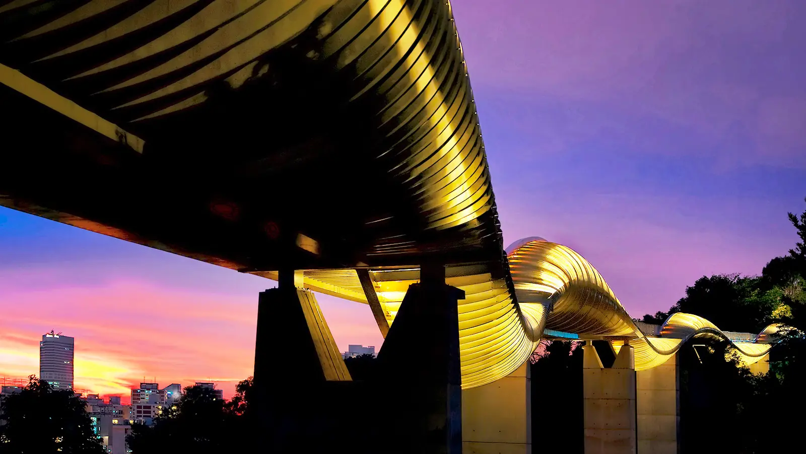 The wave-shaped timber Henderson Waves pedestrian bridge on the Southern Ridges, Singapore