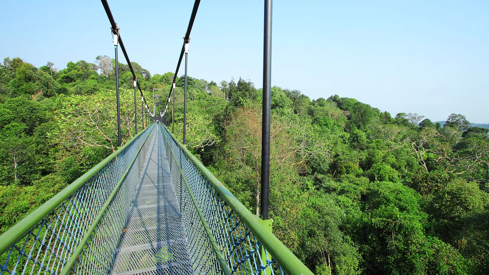 MacRitchie Reservoir — MacRitchie Reservoir is nature’s playground for those who love the great outdoors.